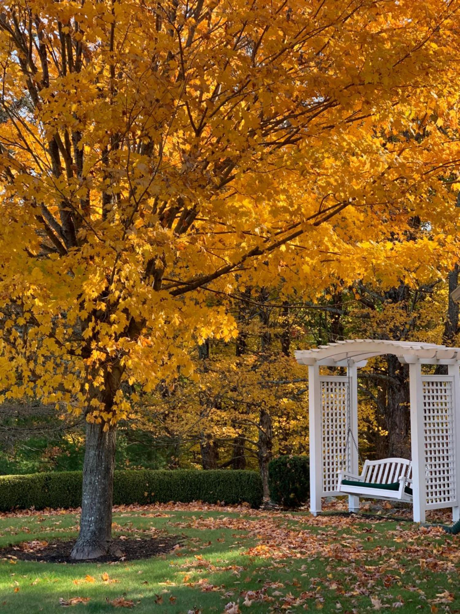 Maguire House Bed And Breakfast Ashburnham Esterno foto