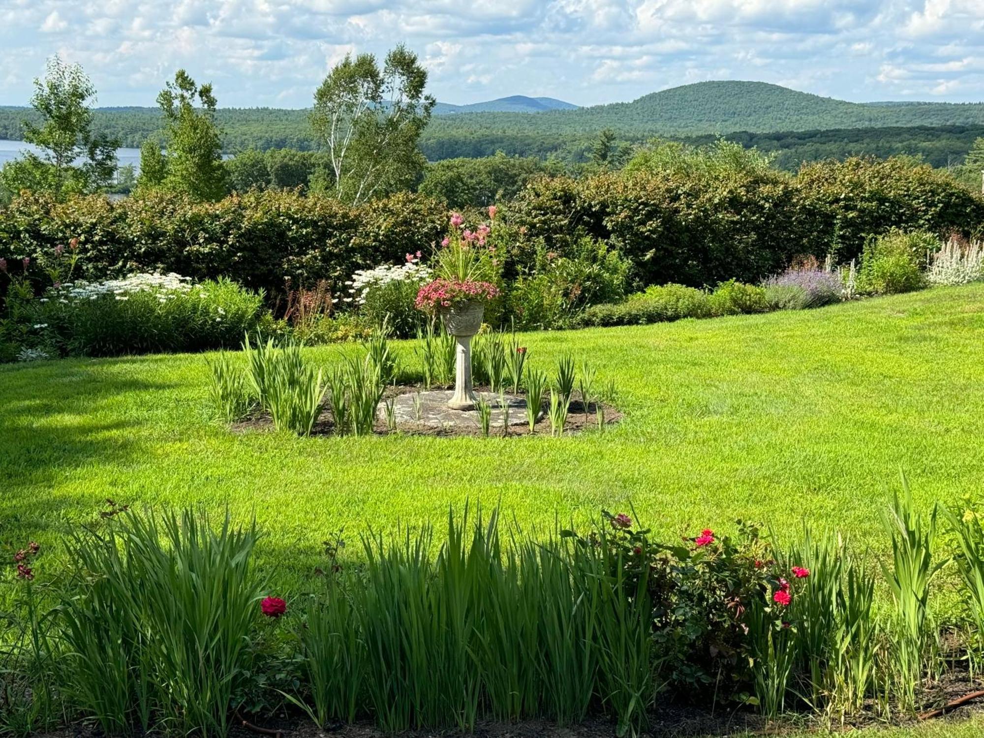 Maguire House Bed And Breakfast Ashburnham Esterno foto