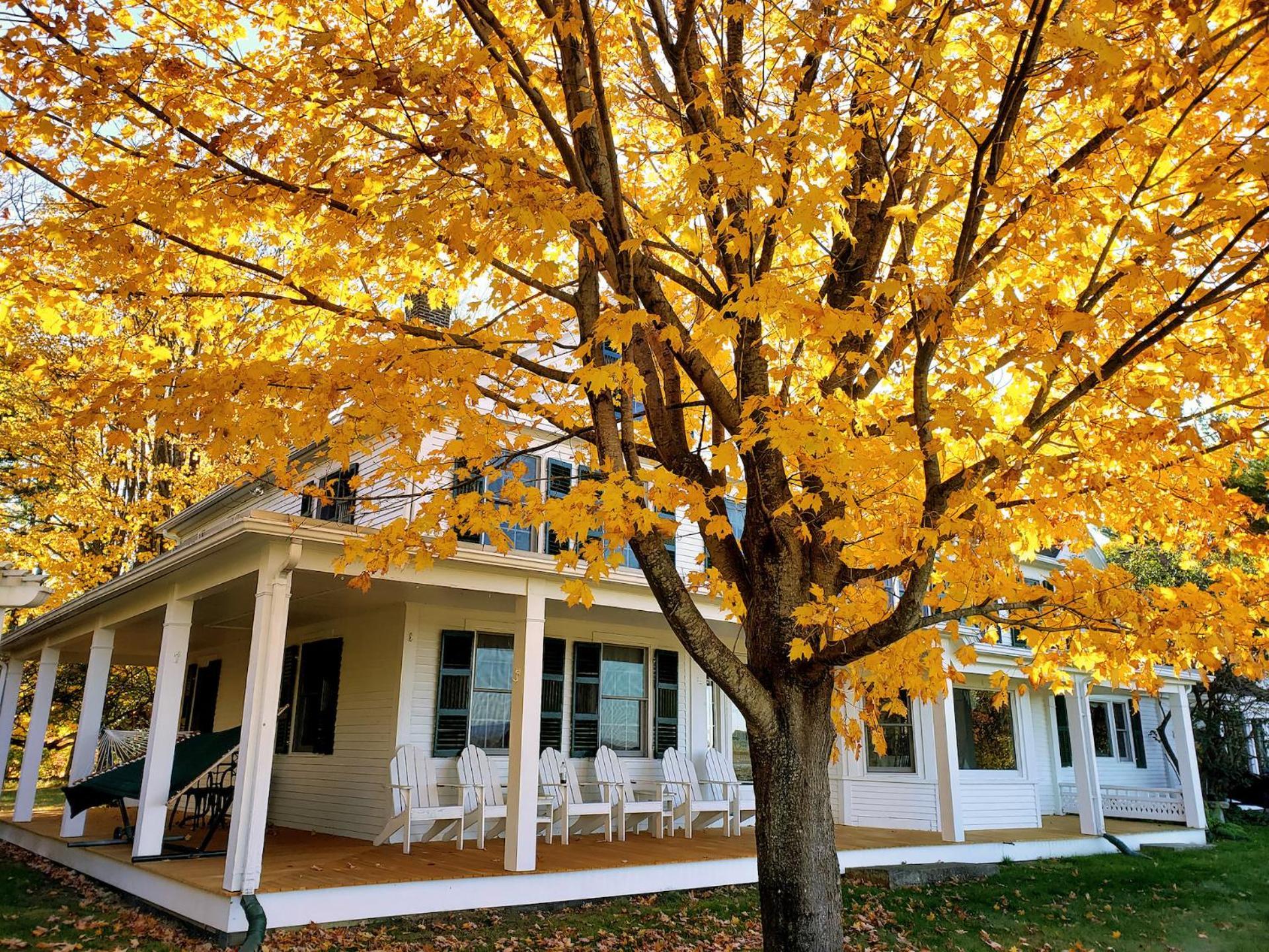 Maguire House Bed And Breakfast Ashburnham Esterno foto